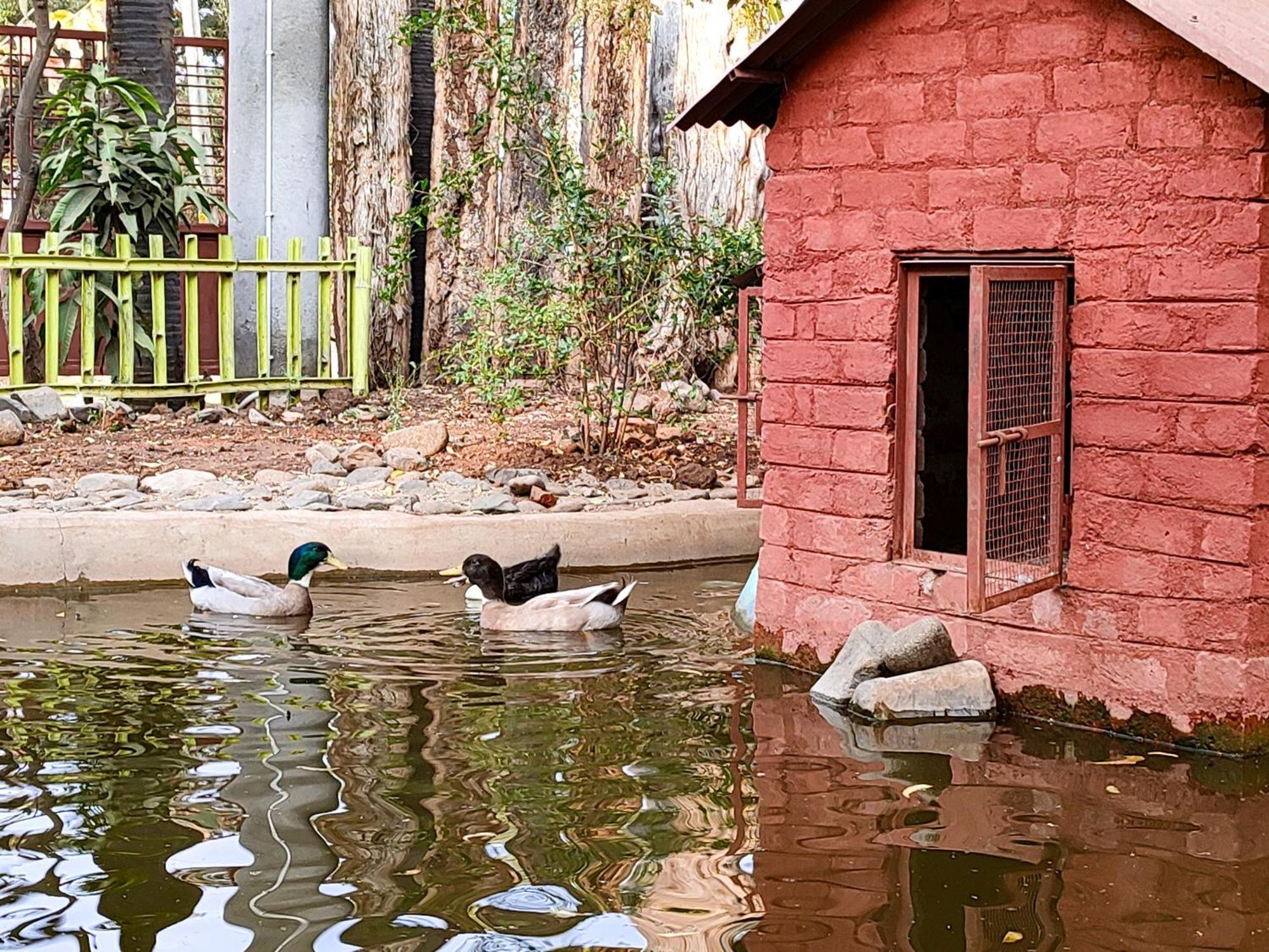 Van Vagdo Resort Rajpipla Екстер'єр фото